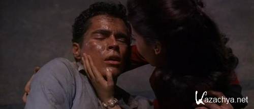   / West Side Story (1961 / DVDRip)