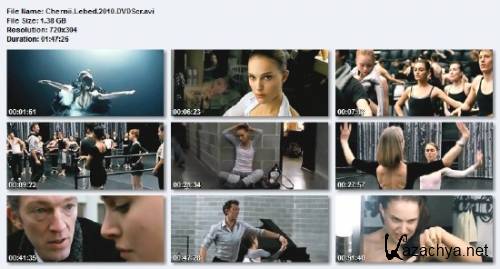 p  / Blck Swan (DVDSr/2010/1.38 Gb)