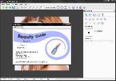 Beauty Guide 1.3 + Portable (2011) 