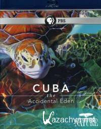 :  Cuba Accidental Eden - 2010 (HDRip)