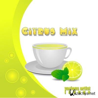 VA - Citrus Mix (2011) MP3