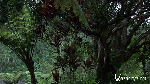 Живые Пейзажи - Бали / Living Landscapes - Bali (2008) Blu-Ray Живые Пейзажи - Бали / Living Landscapes - Bali (2008) Blu-Ray