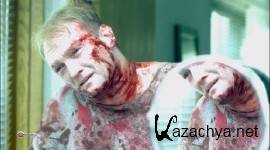 ������ / Luster (2010/HDTVRip)