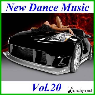New Dance Music Vol.20  (2011)