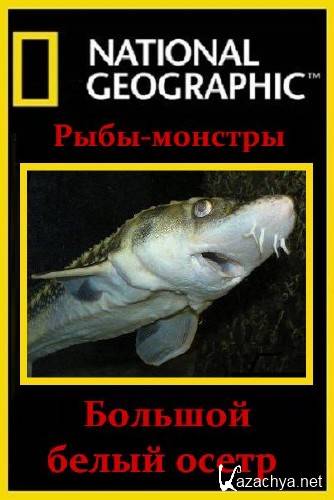  . -:    / Monster Fish: Great White Sturgeon (2010/HDTVRip)