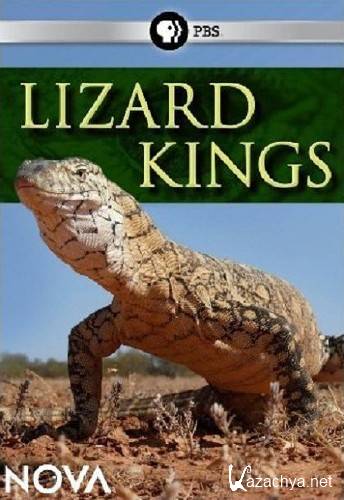   / Lizard kings (2009/HDTVRip)
