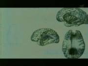    / Unique features of the brain (2007/TVRip)