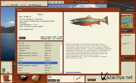 ������� ������� Installsoft Edition 2.4 (2010/RUS/Repack)