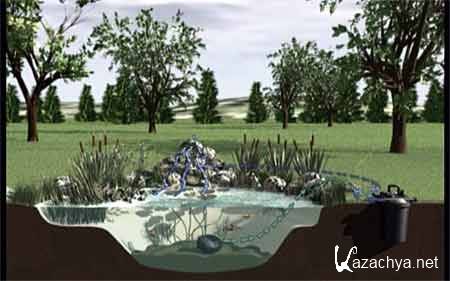 �������� �������: ��� �� ����� / The Garden Pond � Step by Step (2010)