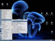 Gentoo Linux 10.1 LiveDVD (�������)