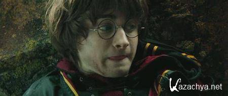 ����� ���������� (2011) DVDRip