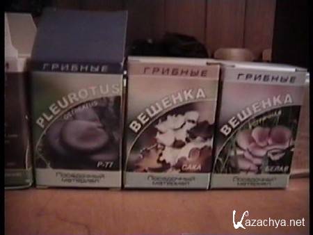 ����� �������: ���������� ����������� ������� �� ������ (2010)