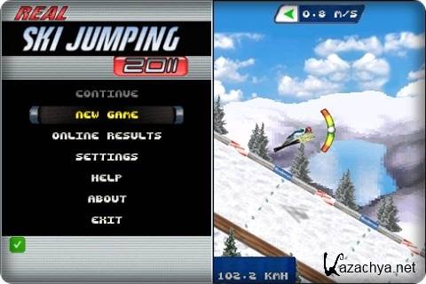 Real Ski Jumping 2011 / �������� ������ � ��������� 2011
