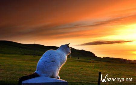 Best HD Wallpapers Pack �205