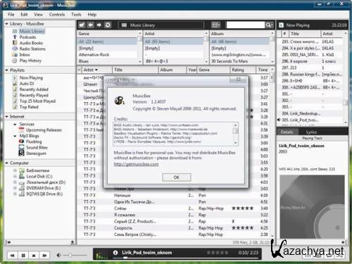 MusicBee 1.2.4037