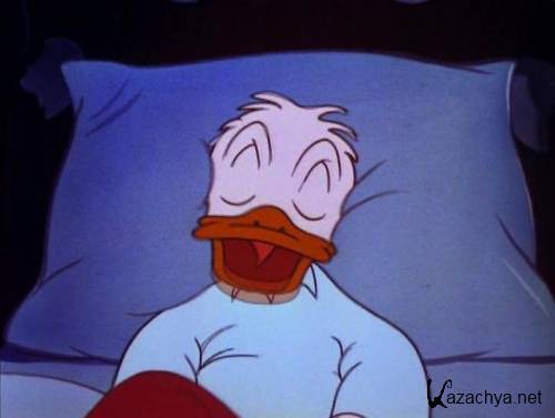    / - / Sleepy Time Donald (1947 / DVDRip)