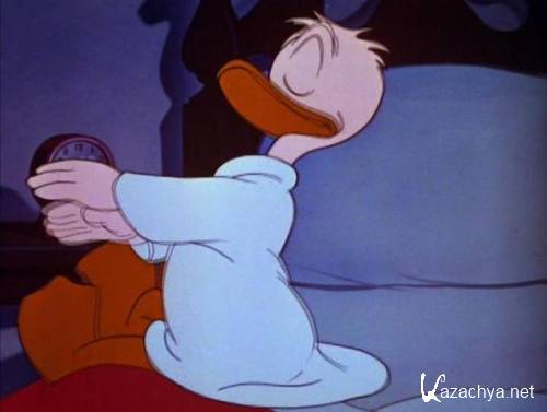    / - / Sleepy Time Donald (1947 / DVDRip)