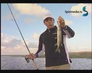 ������ �� ������ (2011) DVDRip