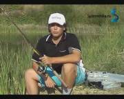 ������ �� ������ (2011) DVDRip