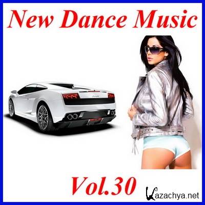 New Dance Music Vol.30  (2011)