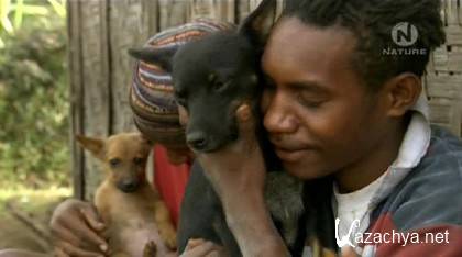 ,    ( 1  2) / Dogs that changed the world (PBS) [2007/SATRip]