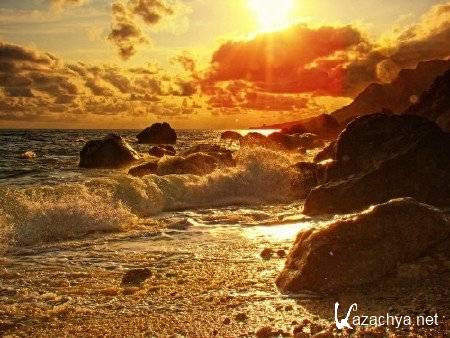 140 ������������ �������� ������� (����� 5)