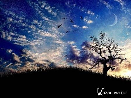 140 ������������ �������� ������� (����� 5)