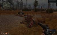 S.T.A.L.K.E.R.: Call of Pripyat -  (2011/RUS/PC)