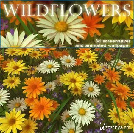 Wildflowers 3D Screensaver And Animated Wallpaper 1.0 Build 1
