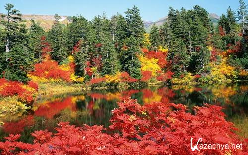 Wallpapers - Nature #95