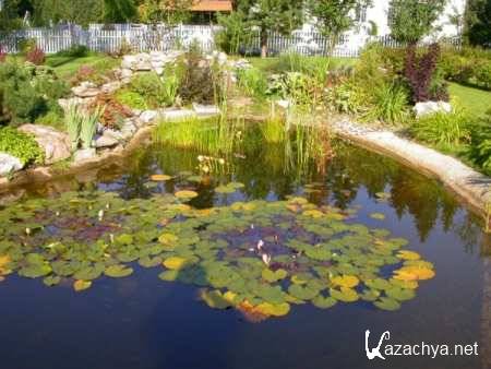 ������� ������. �������� �������� (2010/ DVDRip)