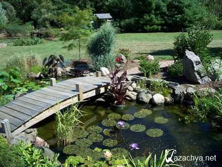 ������� ������. �������� �������� (2010/ DVDRip)