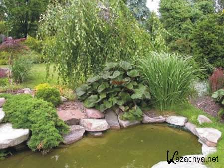 ������� ������. �������� �������� (2010/ DVDRip)