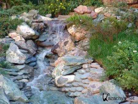 ������� ������. �������� �������� (2010/ DVDRip)