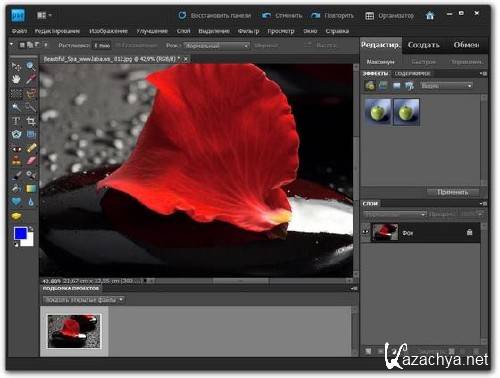Adobe Photoshop Elements 9.0.3 ML/Rus