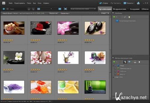 Adobe Photoshop Elements 9.0.3 ML/Rus