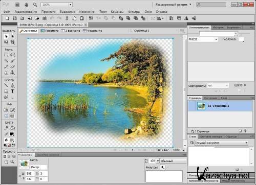 Adobe Fireworks CS5 v.11.0.0.484 (2011/RUS/MULTI20)