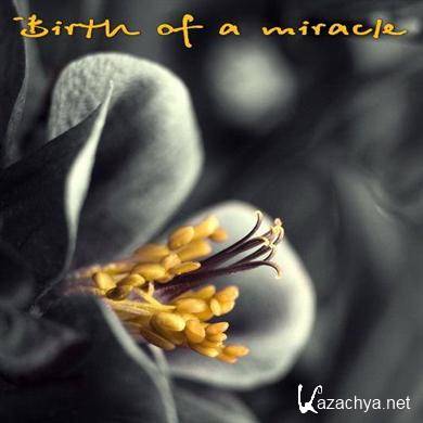 Birth of a Miracle (2011)