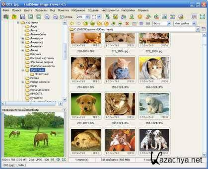 FastStone Image Viewer 4.5 Final Corporate + Portable