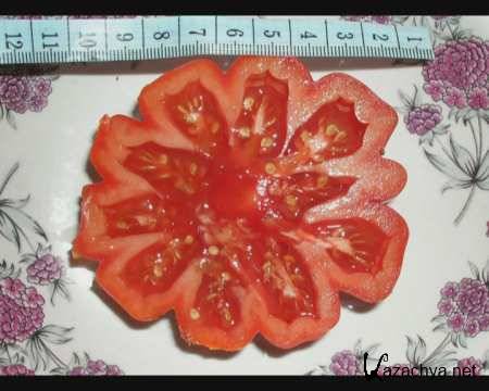 �������� �������. �������� ����� ����� (2010/DVD)