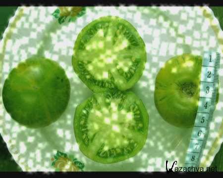 �������� �������. �������� ����� ����� (2010/DVD)