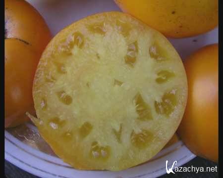 �������� �������. �������� ����� ����� (2010/DVD)