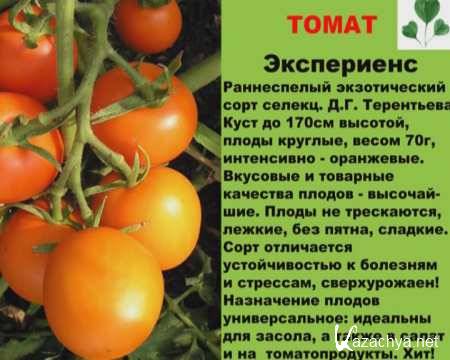 �������� �������. �������� ����� ����� (2010/DVD)