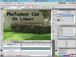 Adobe Photoshop CS5.1 Wined [x86] (tar)