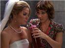    / Revenge of the Bridesmaids (2010/DVDRip/1400Mb/700Mb)