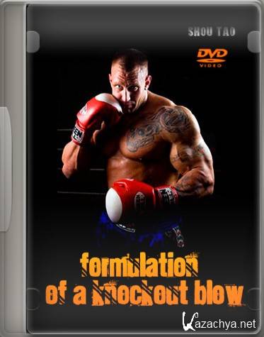    / Formulation of a knockout blow (2009) DVD5