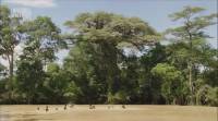  :  / Mutant Planet: Madagascar (2010) HDTVRip
