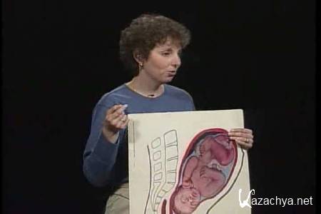 ��������� ���� ���������� � ����� (Laugh and Learn about Childbirth) (2010/DVDRip)