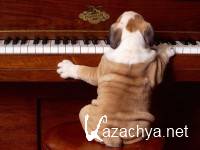 Compilation wallpapers - �������� �� ������� ����