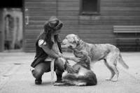 ���� �� ����� ���� (����� 39)